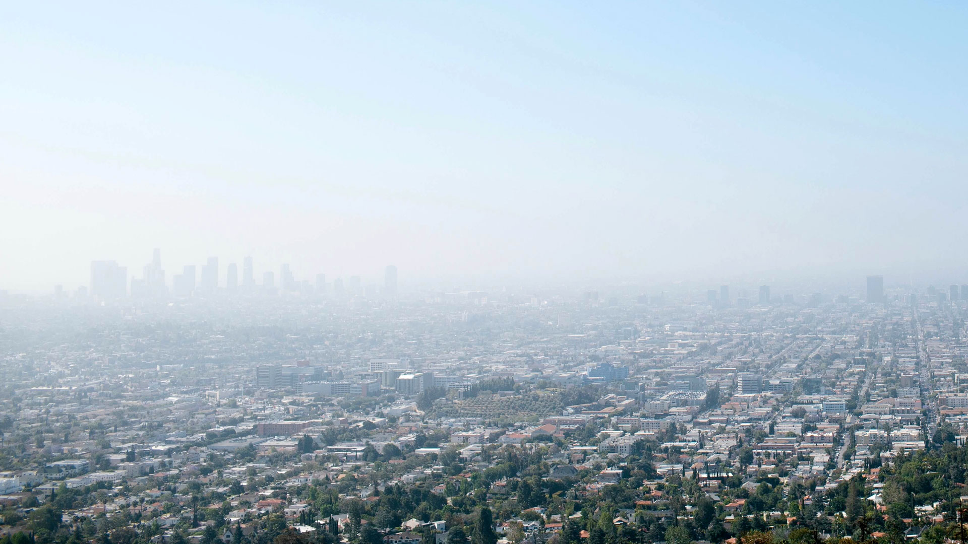 LA from above